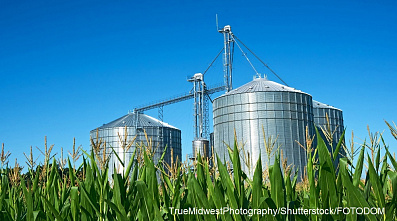 Стальной настрой 21.02